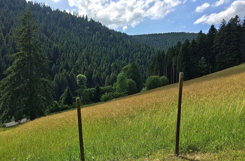 Photo 17 - Holiday Home in the Black Forest With Sauna