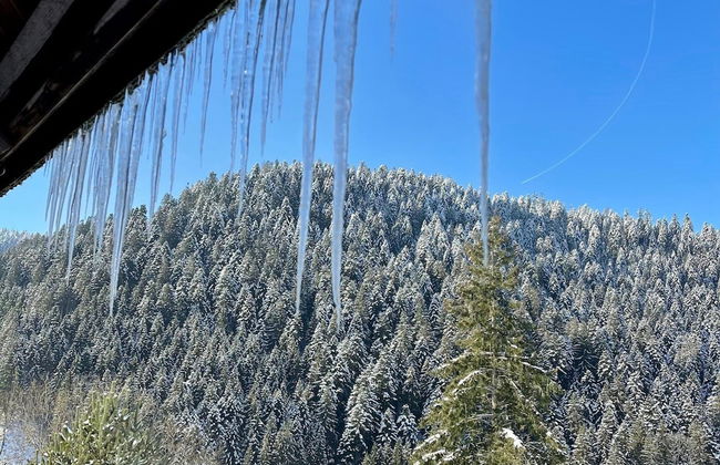 Charmantes, Einladendes Ferienhaus in Toller Natur - Foto 32