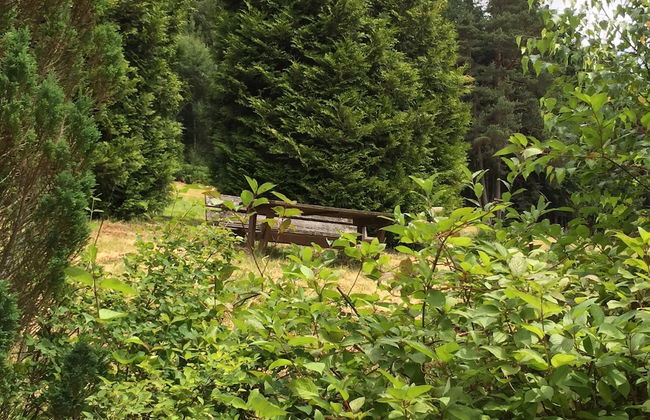 Charmantes, Einladendes Ferienhaus in Toller Natur - Foto 40