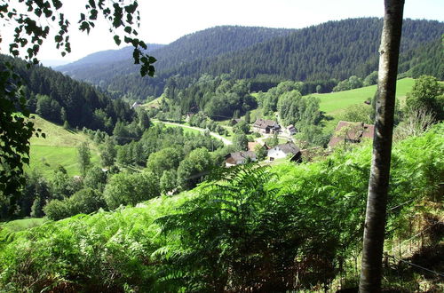 Photo 28 - Holiday Home in the Black Forest With Sauna