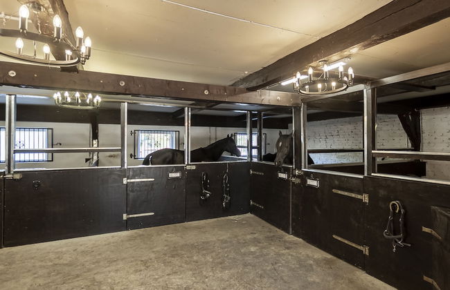 Luxus Resort Rügen - Foto 74