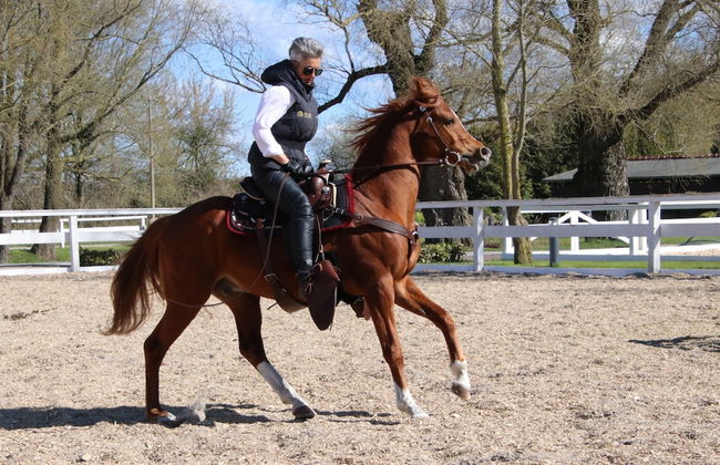 Luxus Resort Rügen - Foto 59