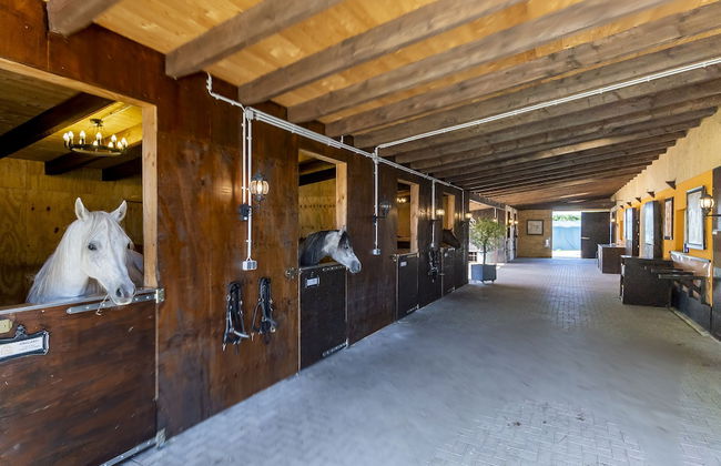 Luxus Resort Rügen - Foto 73