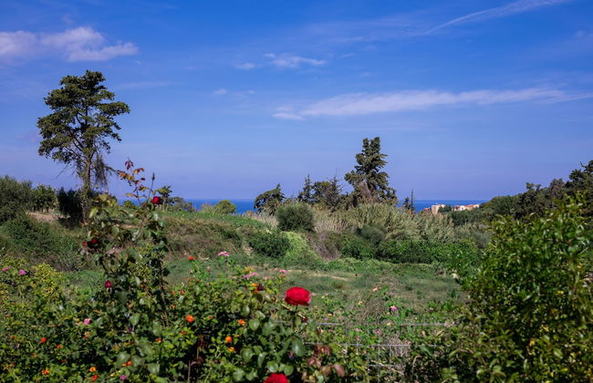 The Olive House - Foto 35