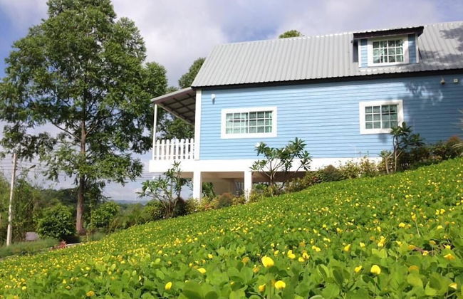 Tip House - Foto 1