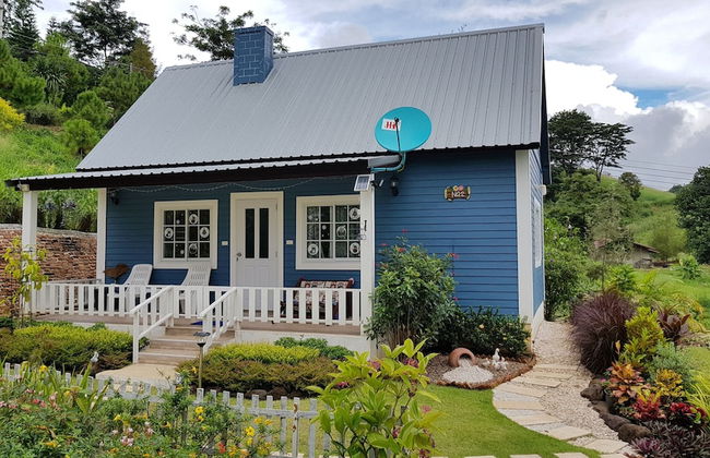 Tip House - Foto 4