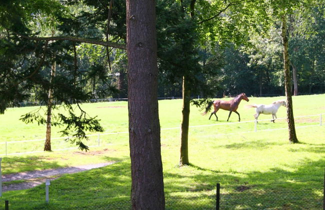 Farmhouse in Fontenelle Near Lake and Boules Court - Foto 34