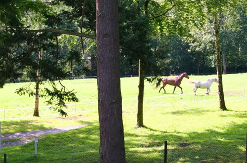 Foto 33 - Spacious Farmhouse in Fontenelle With Garden