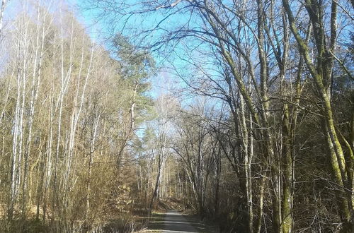 Photo 59 - Nice Chalet by the Woods in Saint-leger