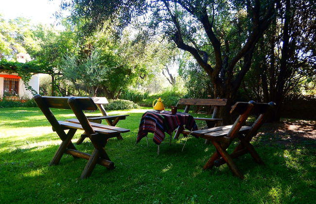 Rincón de la Finca - Foto 6