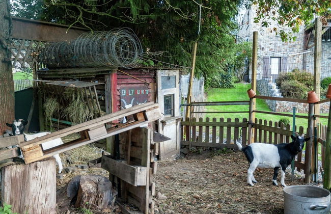Peaceful Garden Stay, Malmedy - Foto 23
