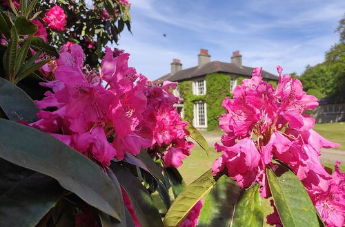 Photo 28 - Tyrella House