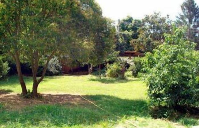 Agriturismo Un Angelo alla mia tavola - Foto 30