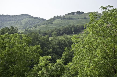 Photo 63 - Oasi di Galbusera Bianca