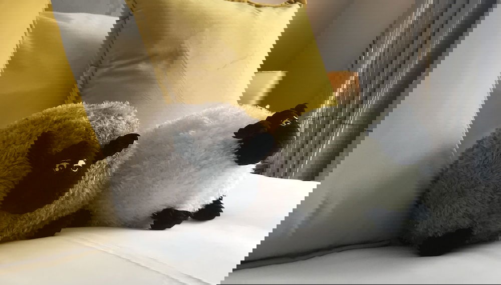 Imagem principal