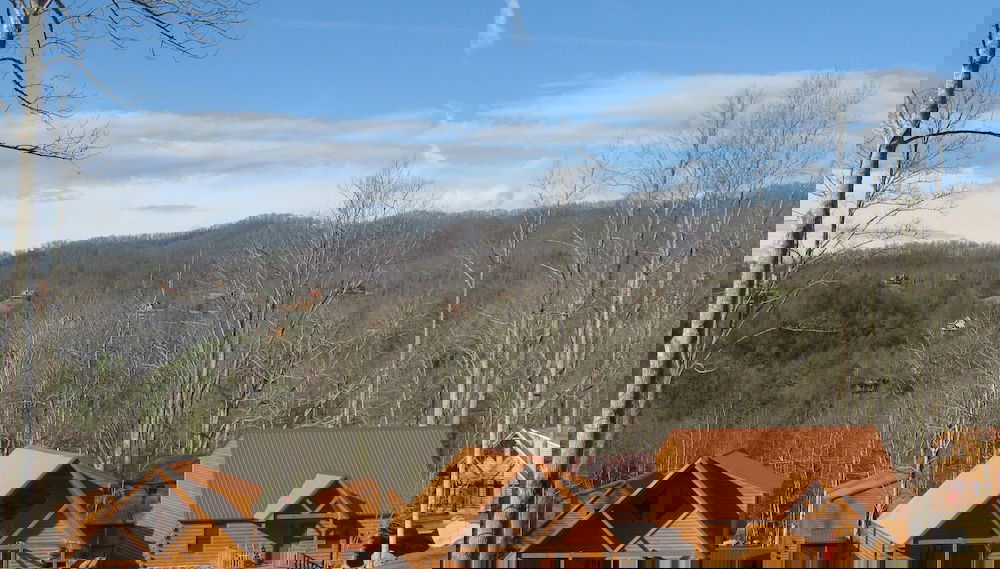 Imagem principal
