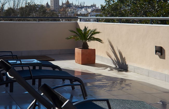 Slow Suites Setas - Foto 110