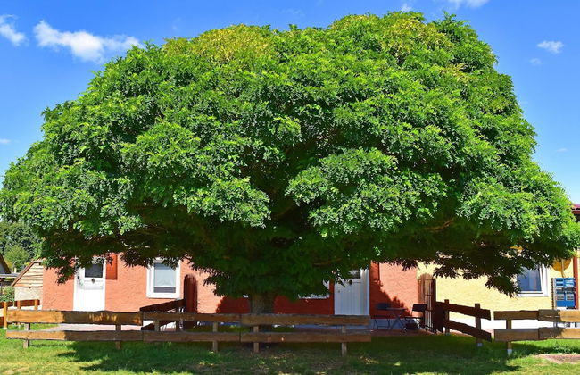 Apartment in Mirow by Lake Vilzsee - Foto 30