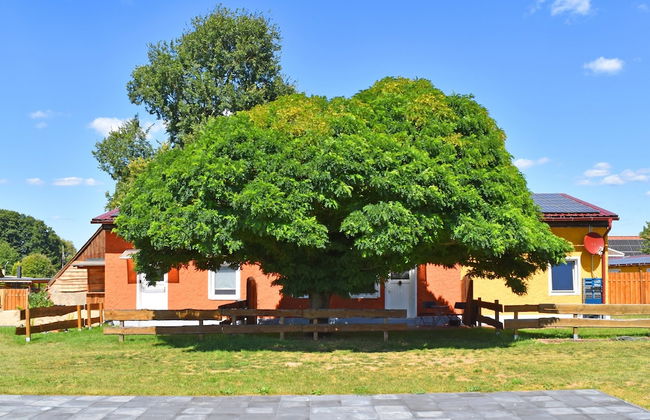 Ferienwohnung am Oase am Vilzsee - Foto 31
