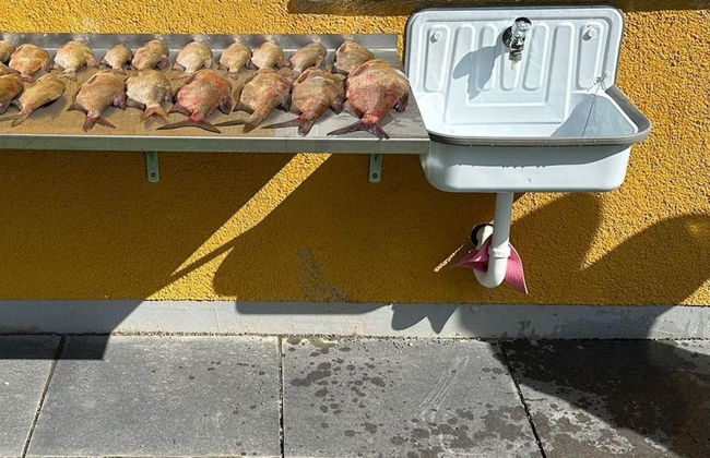 Ferienwohnung am Oase am Vilzsee - Foto 16