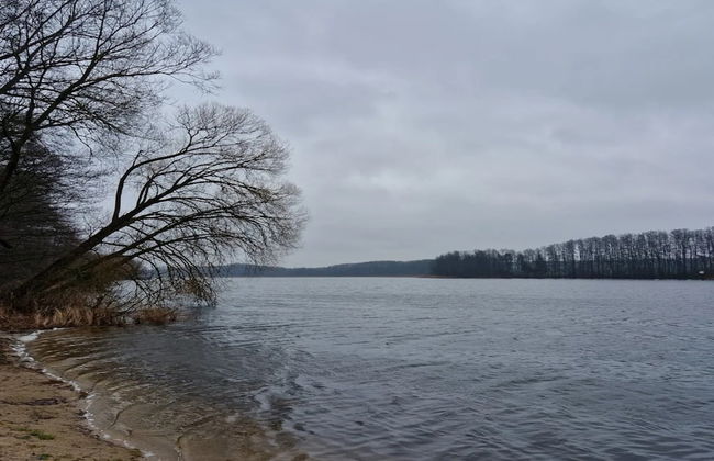 Ferienwohnung in der Mecklenburger Seenplatte - Foto 39