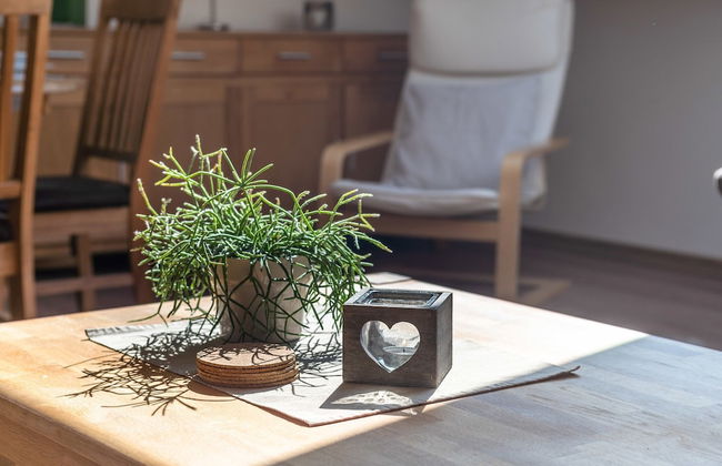 Dreamy Holiday Home in Ellscheid With Terrace - Photo 77