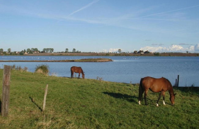 Boutique Bungalow in Insel Poel With Terrace - Foto 52