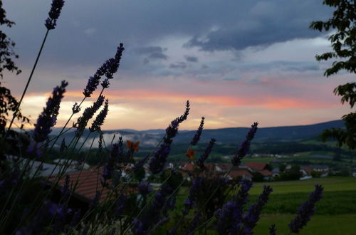 Photo 29 - Apartment in Bavarian Forest With Whirlpool