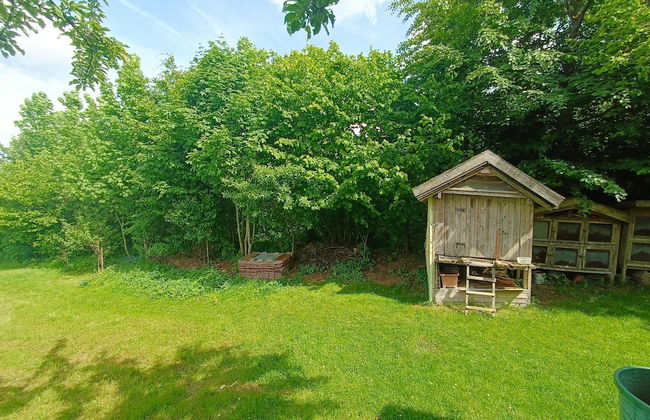 Schone Wohnung im Bayerischen Wald - Foto 58