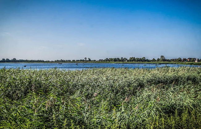 6 Person Holiday Home in Hojer - Foto 22