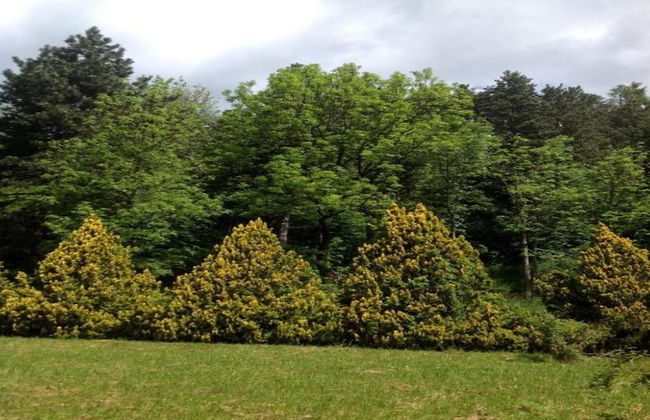 Alpine Comfort Stay, Cavalese - Foto 40