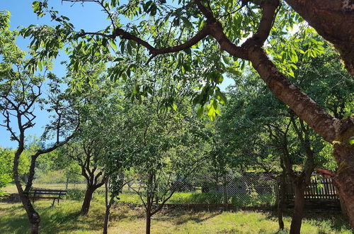 Photo 15 - Holiday Home With Natural Garden