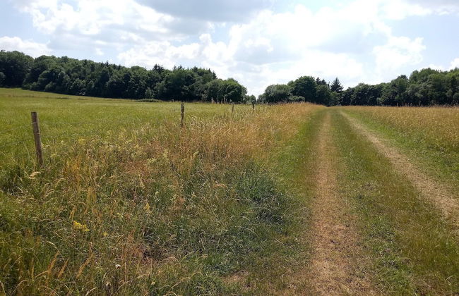 Charming Holiday Home With Natural Garden in Kaltennordheim-thuringia - Photo 75