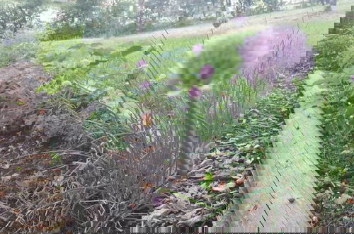 Photo 21 - Charming Holiday Home With Natural Garden in Kaltennordheim-thuringia
