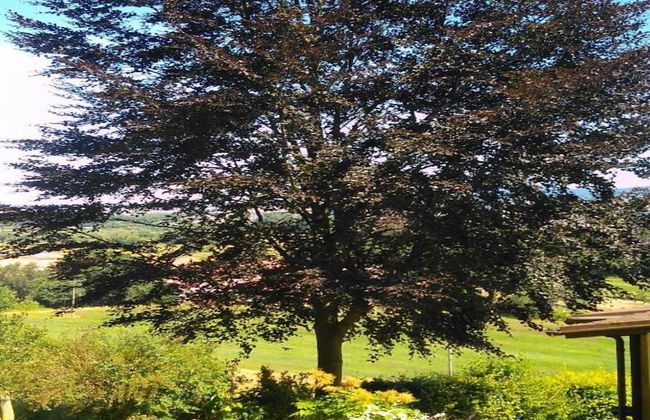 Charming Holiday Home With Natural Garden in Kaltennordheim-thuringia - Foto 46