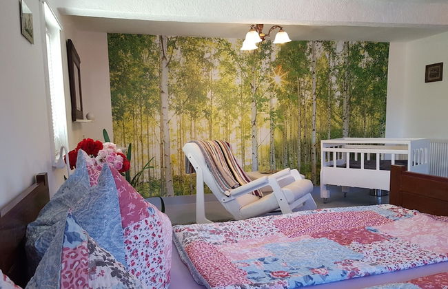 Charming Holiday Home With Natural Garden in Kaltennordheim-thuringia - Photo 15