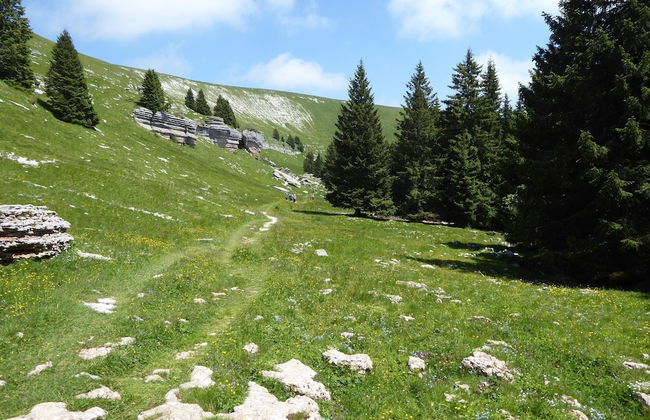 Family Retreat Near Garda - Foto 35