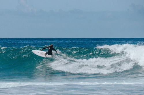 Photo 3 - Nomad s Family - 2bdr Beach Vibe Matosinhos