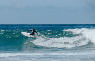 Photo 3 - Nomad s Family - 2bdr Beach Vibe Matosinhos