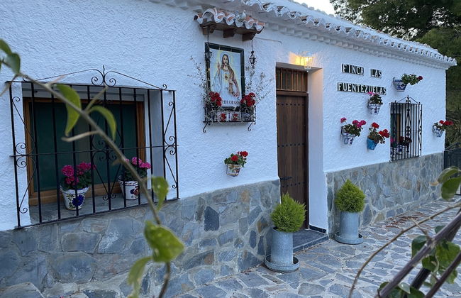 Finca Las Fuentezuelas - Foto 38
