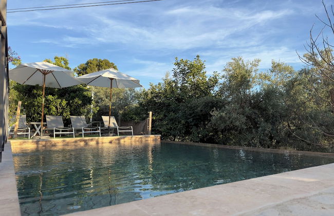 Finca Las Fuentezuelas - Foto 42