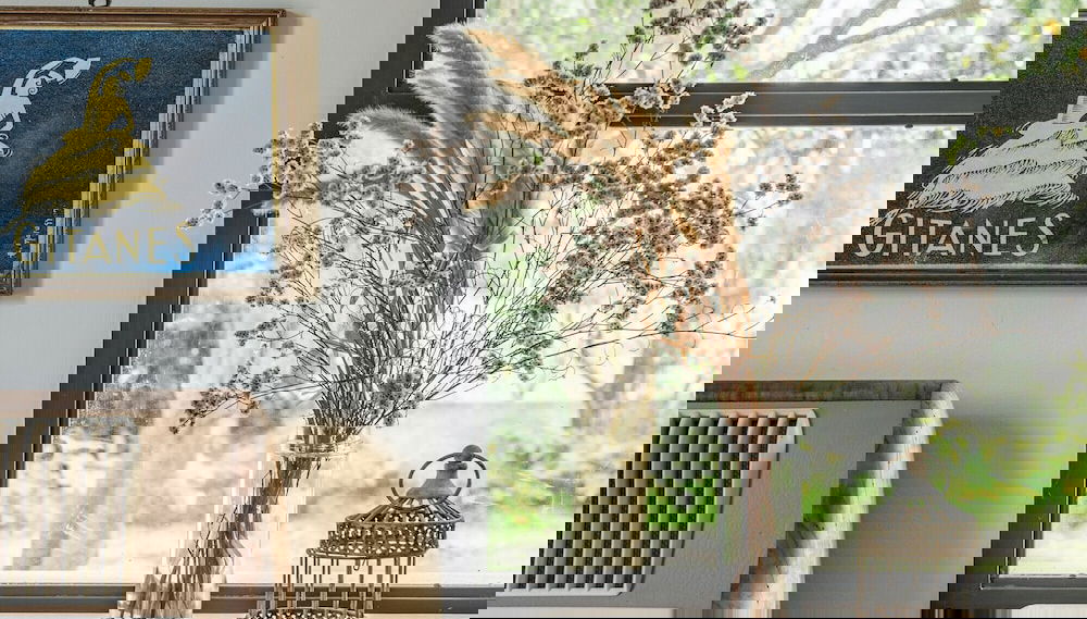 Primary image