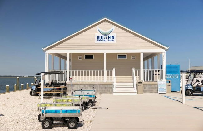Blufin Bungalows & Marina - Foto 2