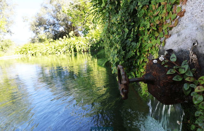 Quinta da Balança by MyStay - Foto 24