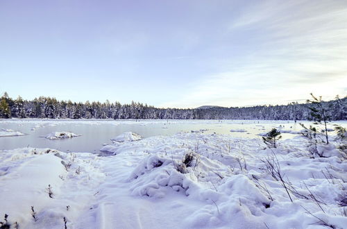 Photo 12 - Cozy Conway Retreat Near Skiing + Hiking Trails