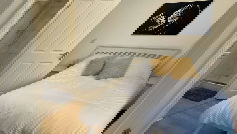 Image principale