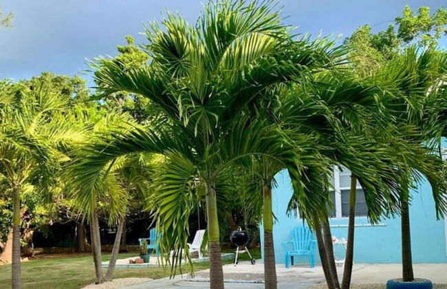 S4 BP Steps to Beach Free Upgrade Stay 30 Oct - Foto 30