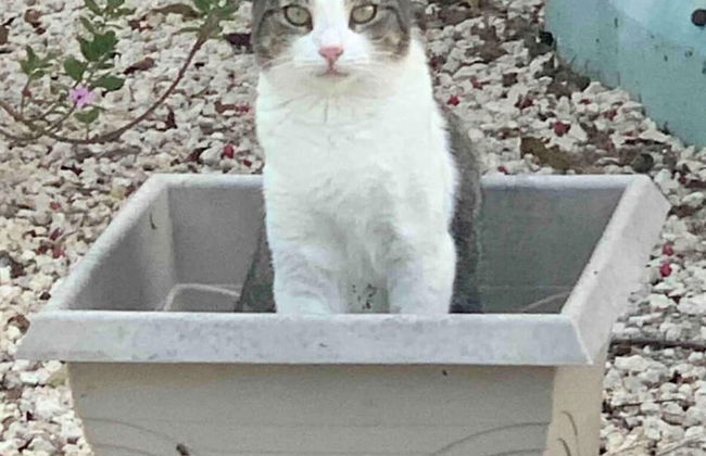 S2 BP Steps to Beach - Foto 50