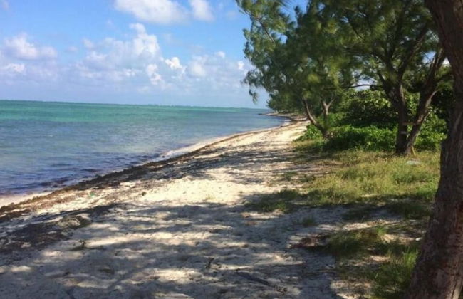 S4 BP Steps to Beach Free Upgrade Stay 30 Oct - Foto 32