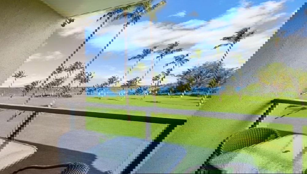 Imagem principal